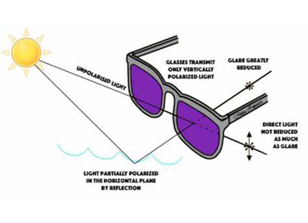 How Do Polarized Sunglasses Work