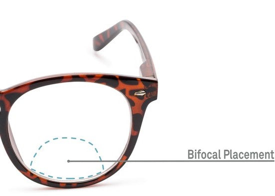 Bifocal Reading Glasses | KOALAEYE