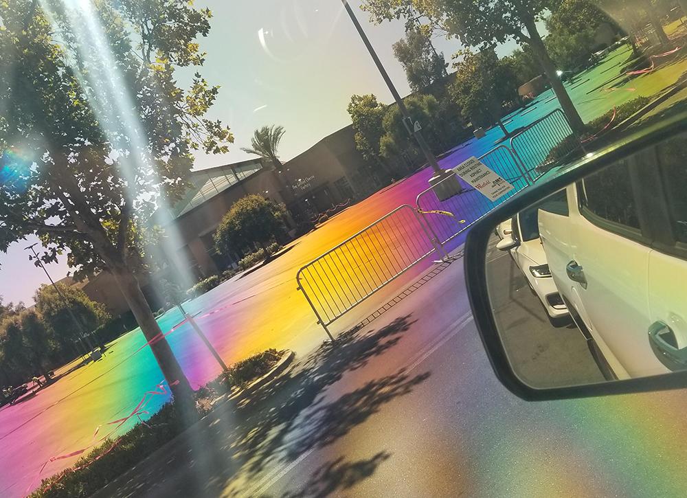 Can you see a rainbow with polarized sunglasses?