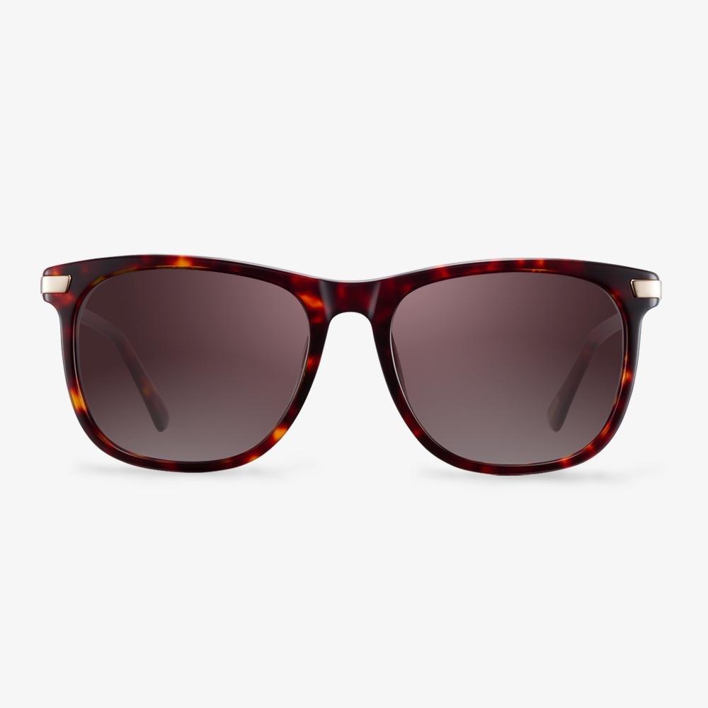 Square Sunglasses | Oversized Square Sunglasses | KOALAEYE