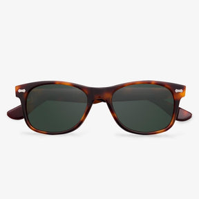 Oval Tortoiseshell Acetate Sunglasses | KOALAEYE